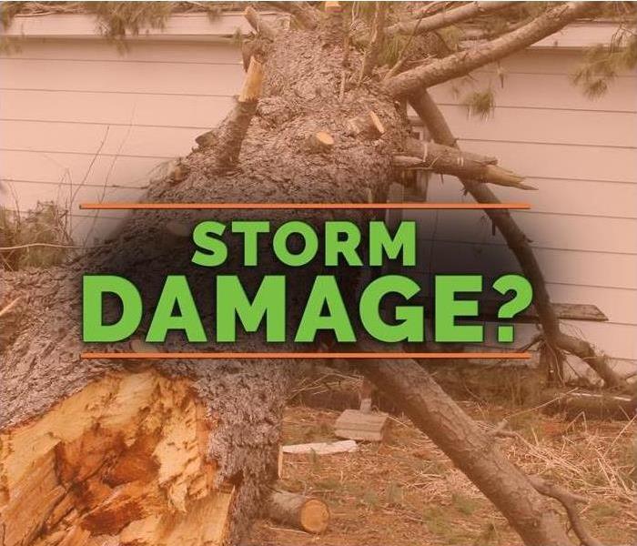 Storm remediation requires onsite personnel to assess the damage.