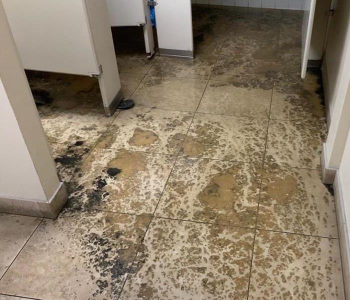 Commercial business with sewage on the floors.